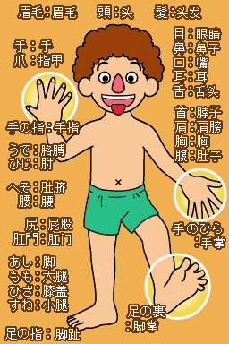 Touch de Ni Hao - Hitsudan-kun - Human Body