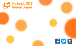 Nintendo 3DS Image Share