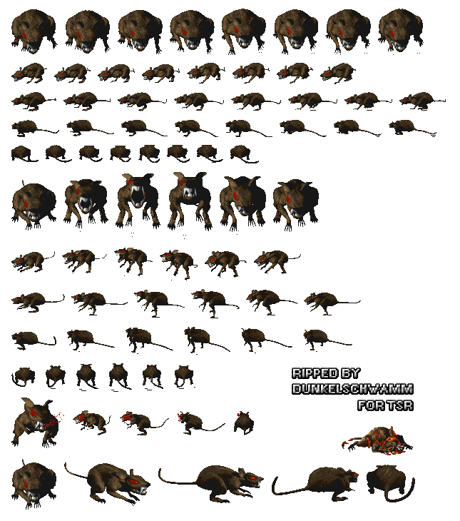 The Elder Scrolls 2: Daggerfall - Giant Rat