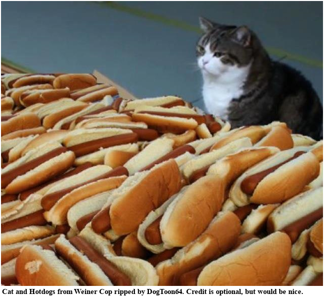 Weenie Cop - Cat & Hotdogs