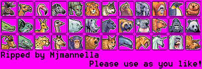 Animal Adoption Icons