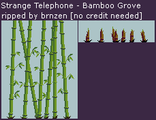 Bamboo Grove