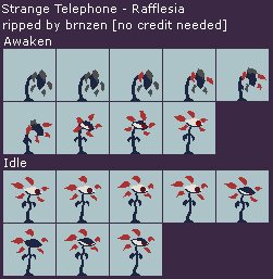 Strange Telephone - Rafflesia