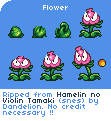 Flower