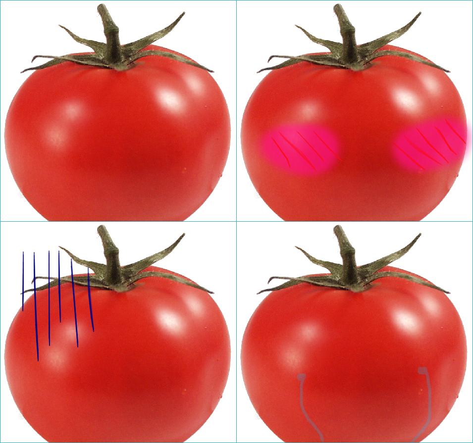 Chop Chop Fruit salad Mystery Jam DokiDoki Dating Sim THingy - Tomato