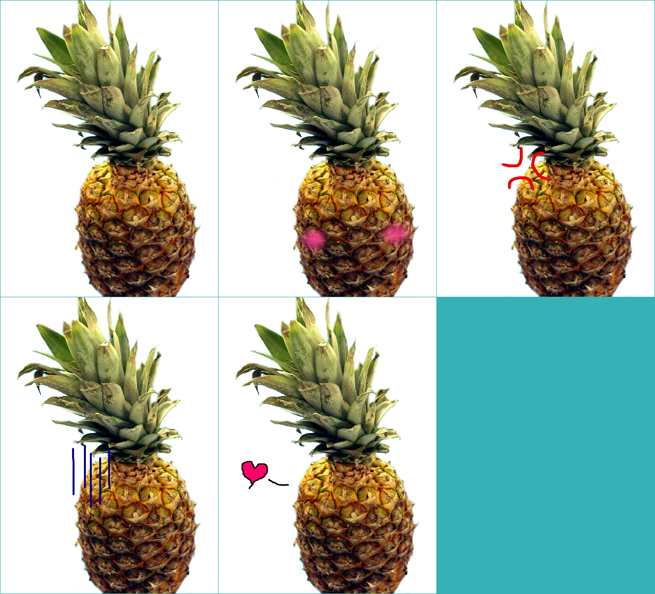 Pineapple-Sensei