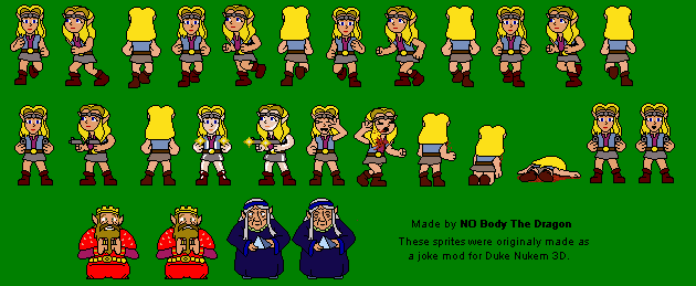 The Legend of Zelda Customs - Zelda (CDi Design, Duke Nukem 3D-Style)