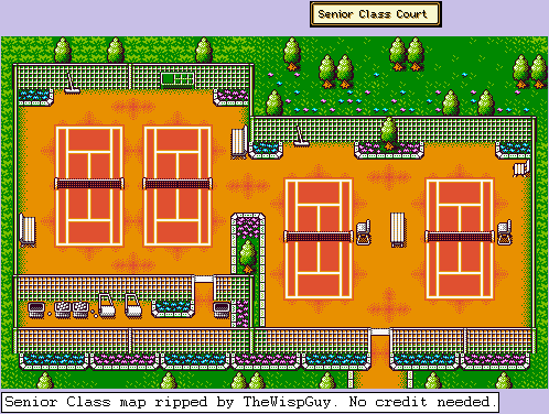 Mario Tennis - Senior Class Court
