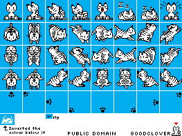 Tabby
