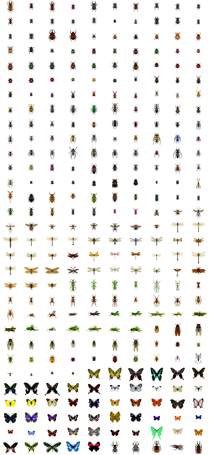 Insects