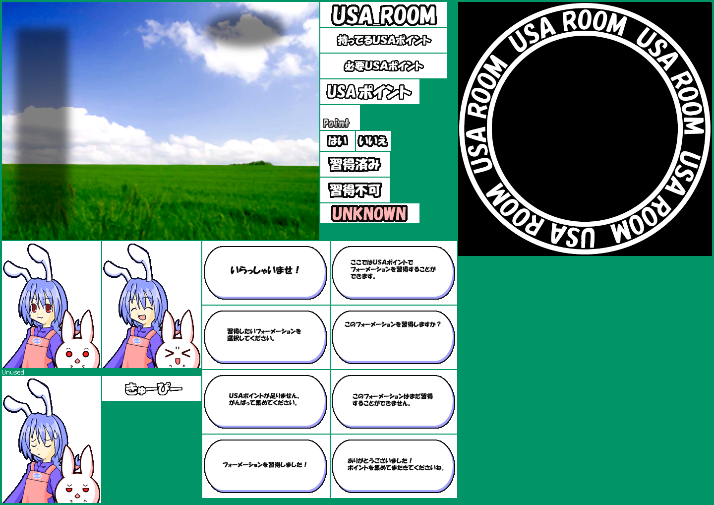 Usa Room