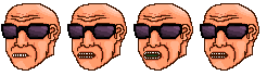 Richter (Sunglasses)