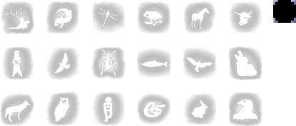 Animal Icons & Cursor