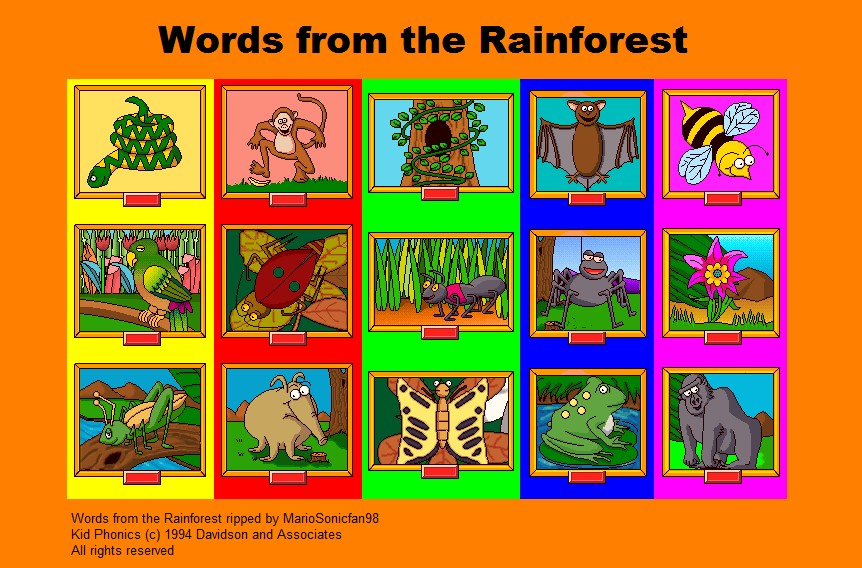 Words from the Rainforest