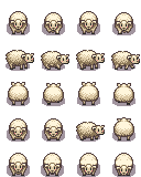 Sheep (Baby)