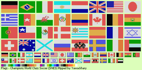 Champions World Class Soccer - Flags