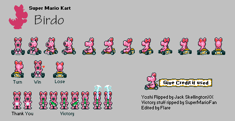 Mario Customs - Birdo (Super Mario Kart-Style)