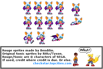 Sonic the Hedgehog Customs - Rouge
