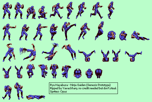 Ninja Gaiden (Prototype) - Ryu Hayabusa