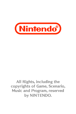 Nintendo Copyright Screen