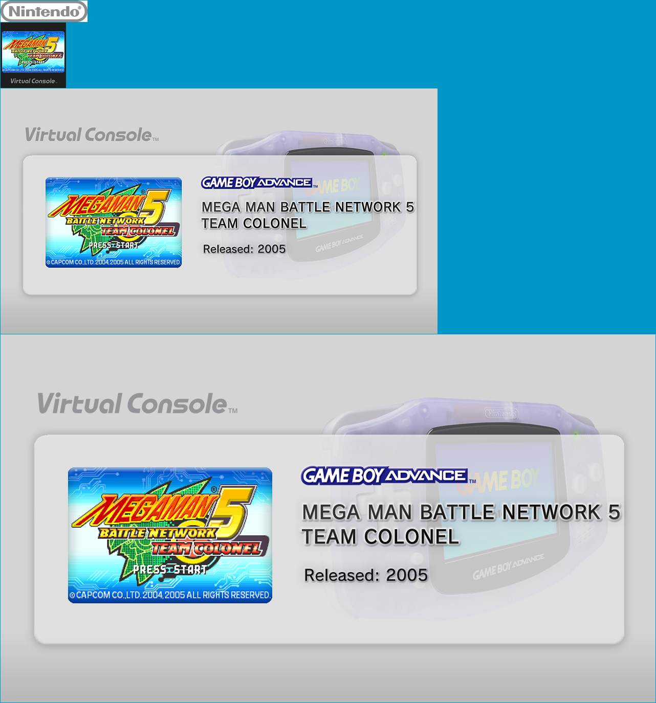 MEGA MAN BATTLE NETWORK 5 TEAM COLONEL