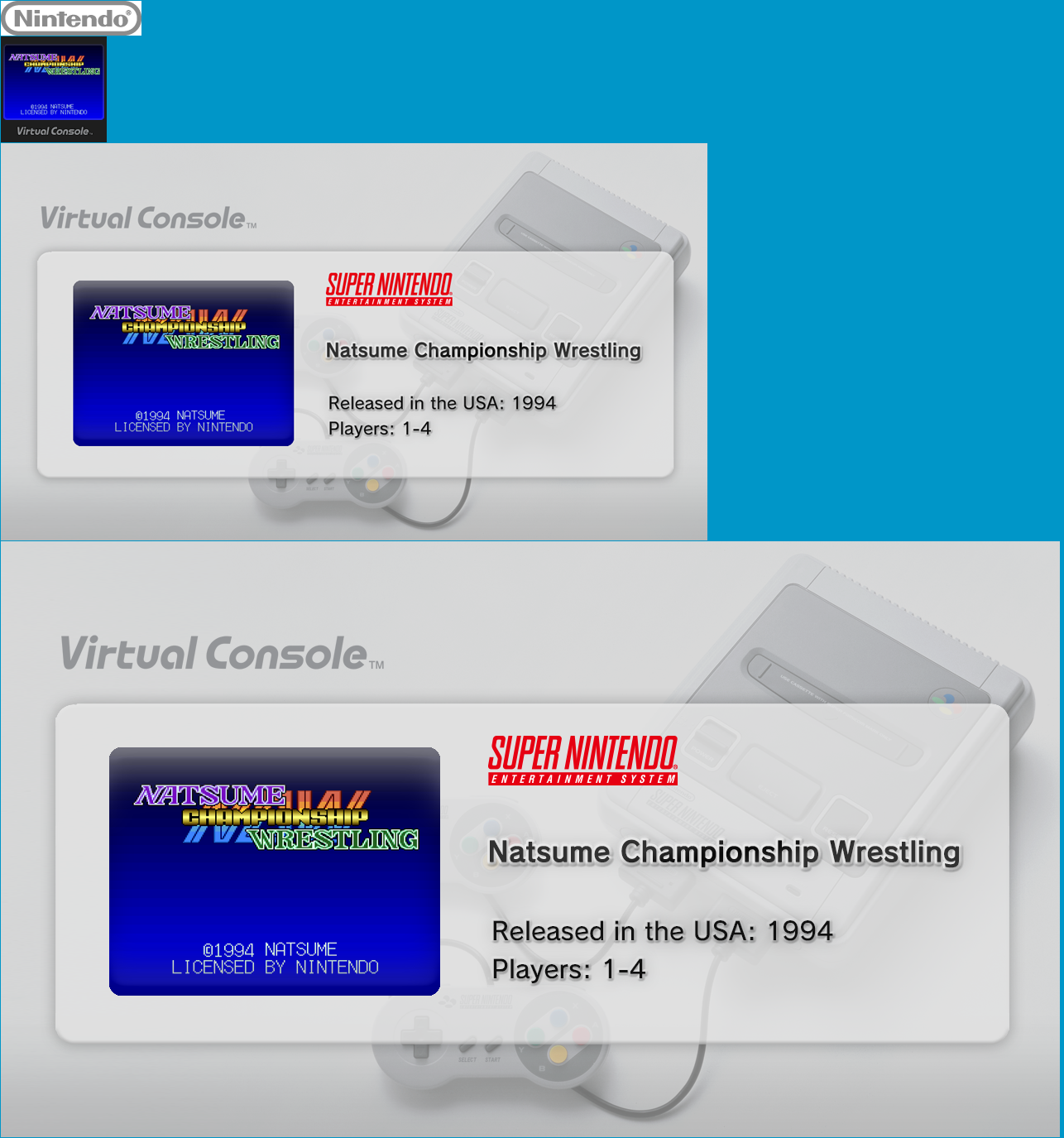 Natsume Championship Wrestling