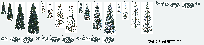 Chris Sawyer's Locomotion - Blue Spruce Tree