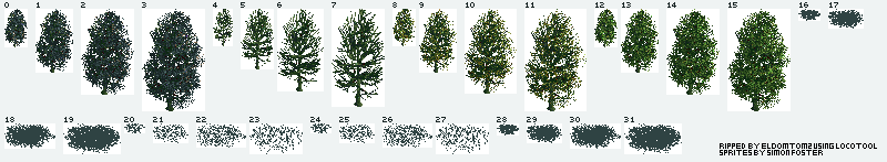 Chris Sawyer's Locomotion - Narrow Leaf Ash Tree