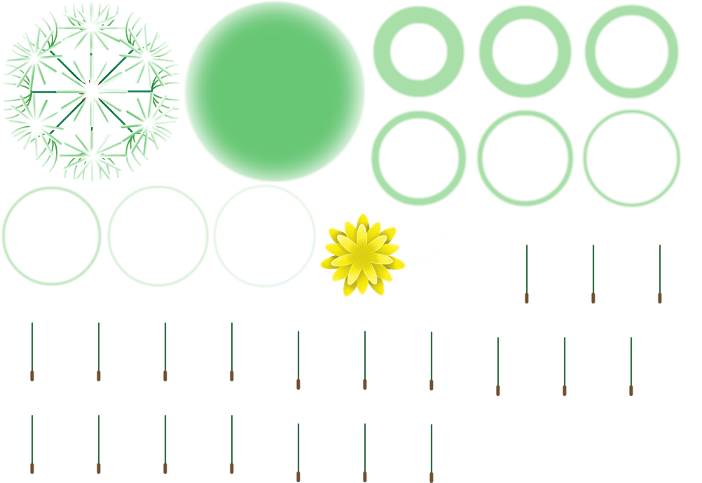 Google Doodles - Dandelion & Effects