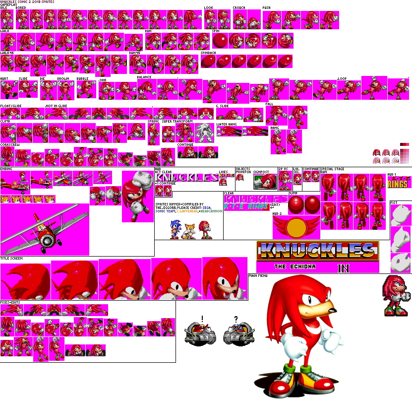 Knuckles the Echidna