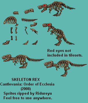 Skeleton Rex