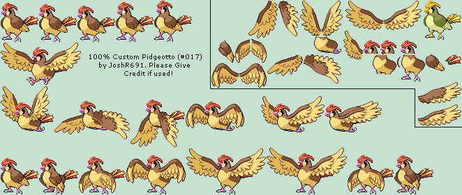 #017 Pidgeotto