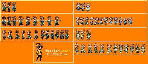 Pokémon Ranger 2: Shadows of Almia - Family
