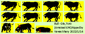 Ole, Toro (SPN) - Bull