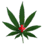 Postal 2 - Medicinal Herb