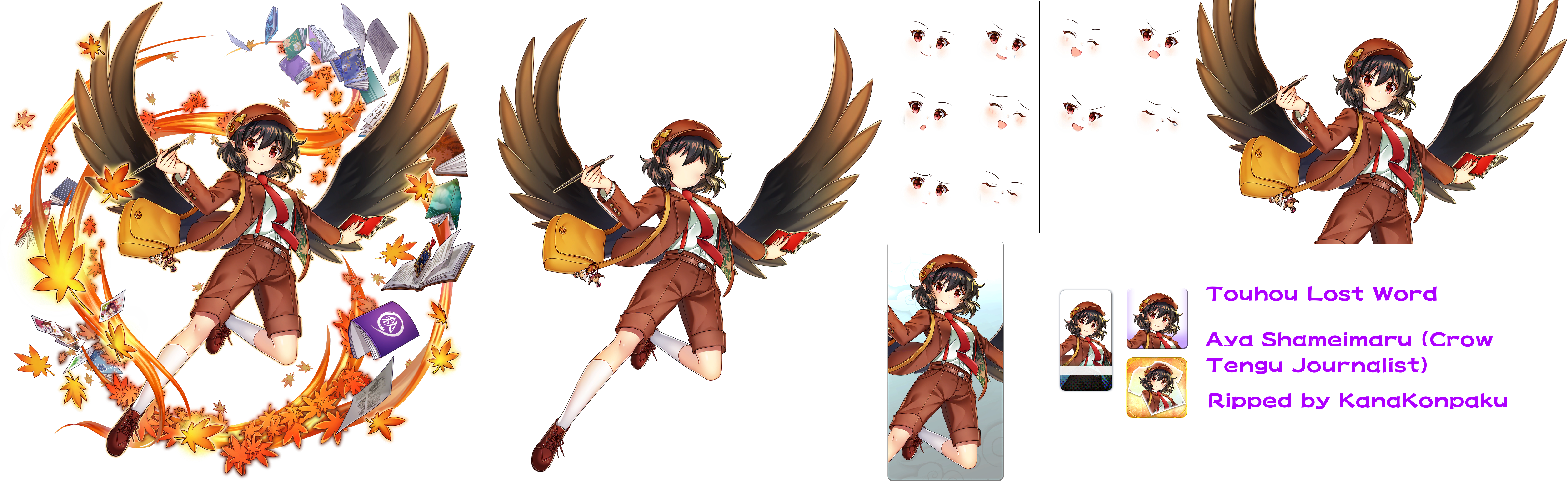 Aya Shameimaru (Crow Tengu Journalist)