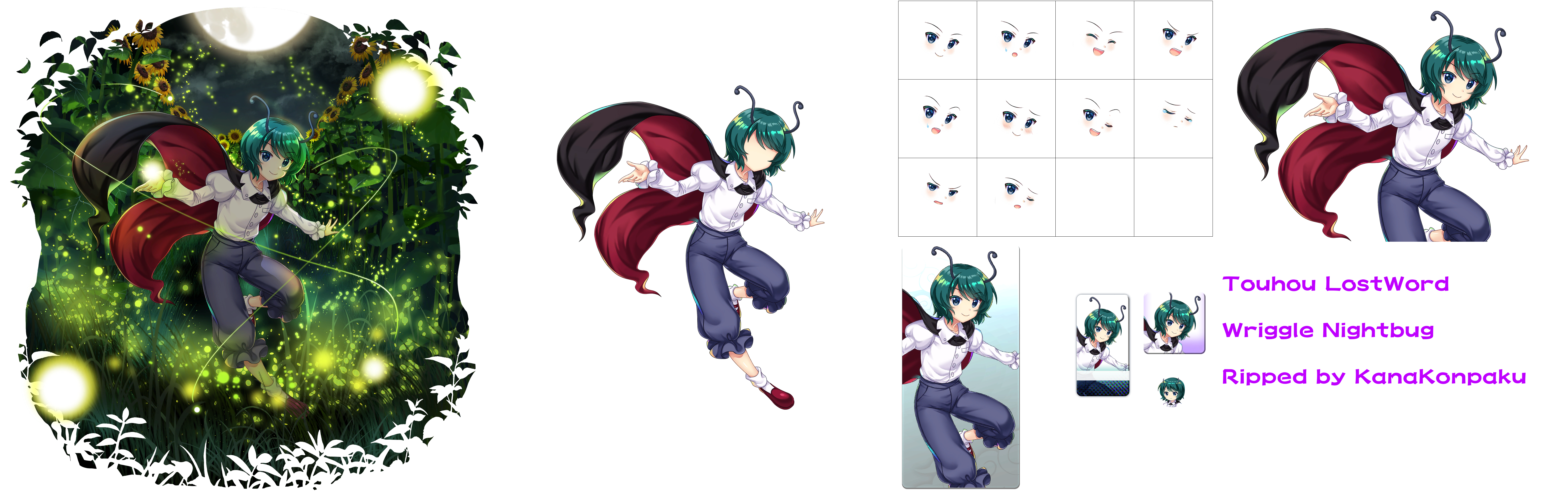 Wriggle Nightbug