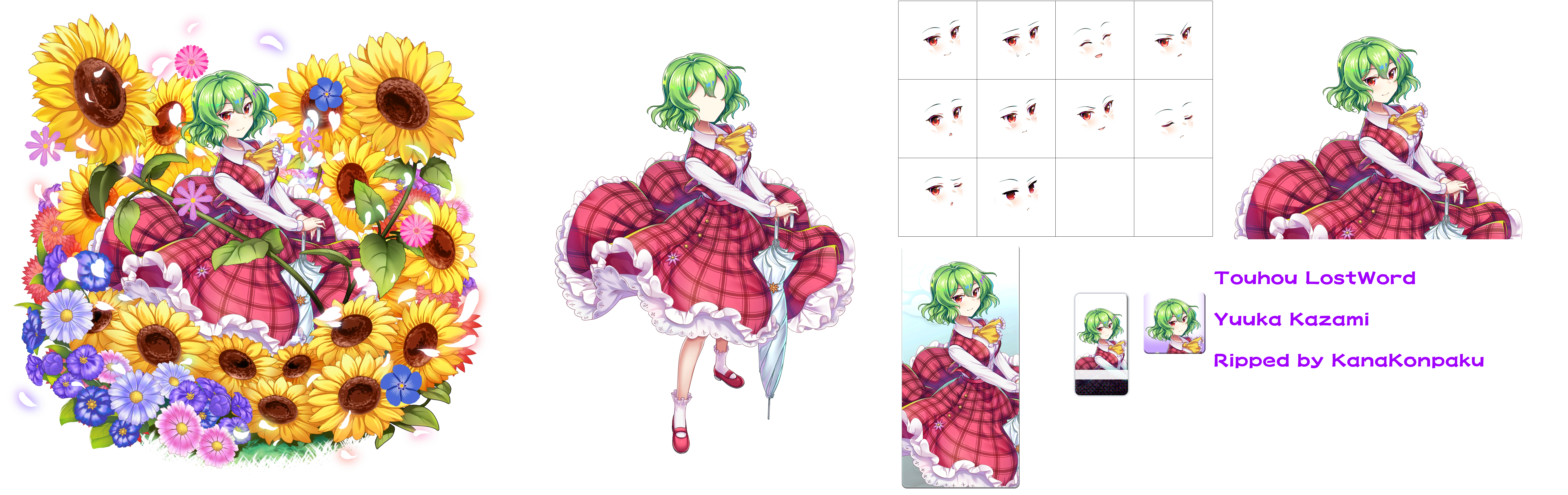 Touhou LostWord - Yuuka Kazami