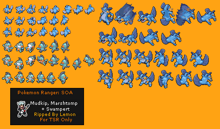 Mudkip, Marshtomp & Swampert