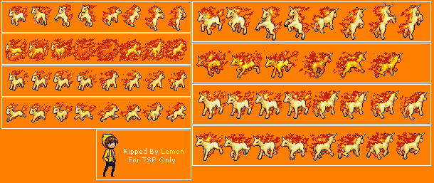 Ponyta & Rapidash