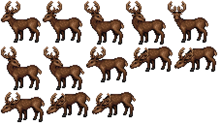 Deer