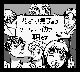 Hana Yori Dango: Another Love Story (JPN) - Game Boy Error Message