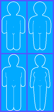 Body Type Outlines