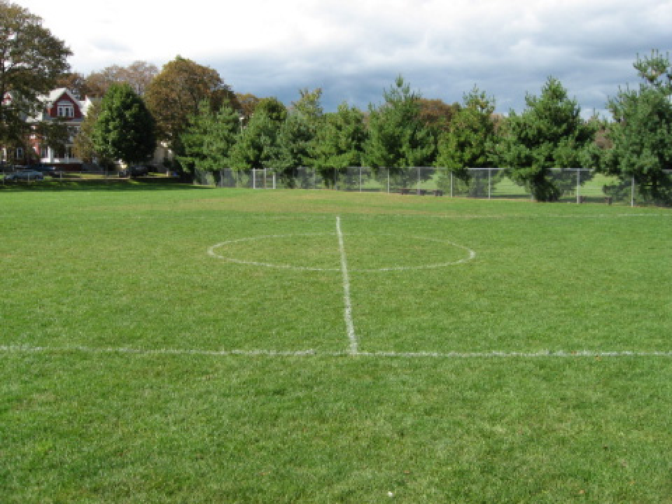 Playing Field