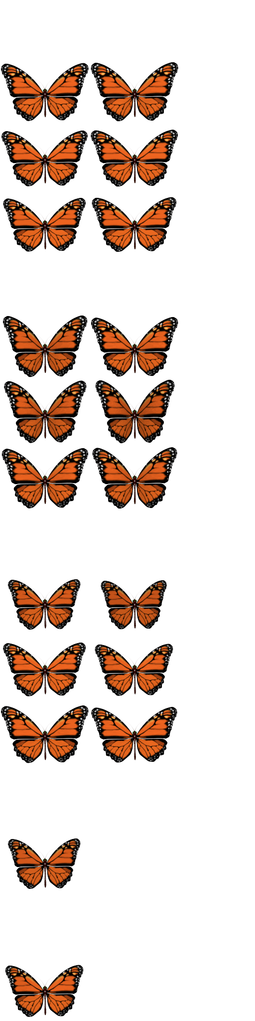 Monarch