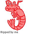 Shrimp