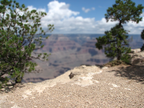 Grand Canyon