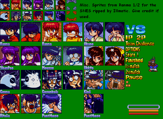 Ranma ½: Hard Battle - Portraits