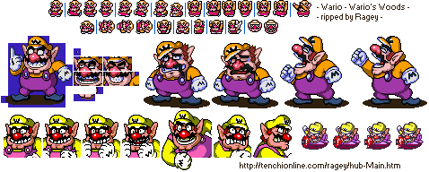 Wario