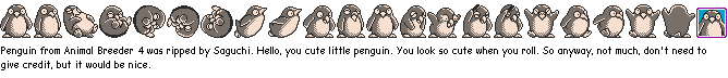 Penguin